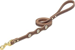 Lone Star Legend Leash Sunset 5/8" x 4'