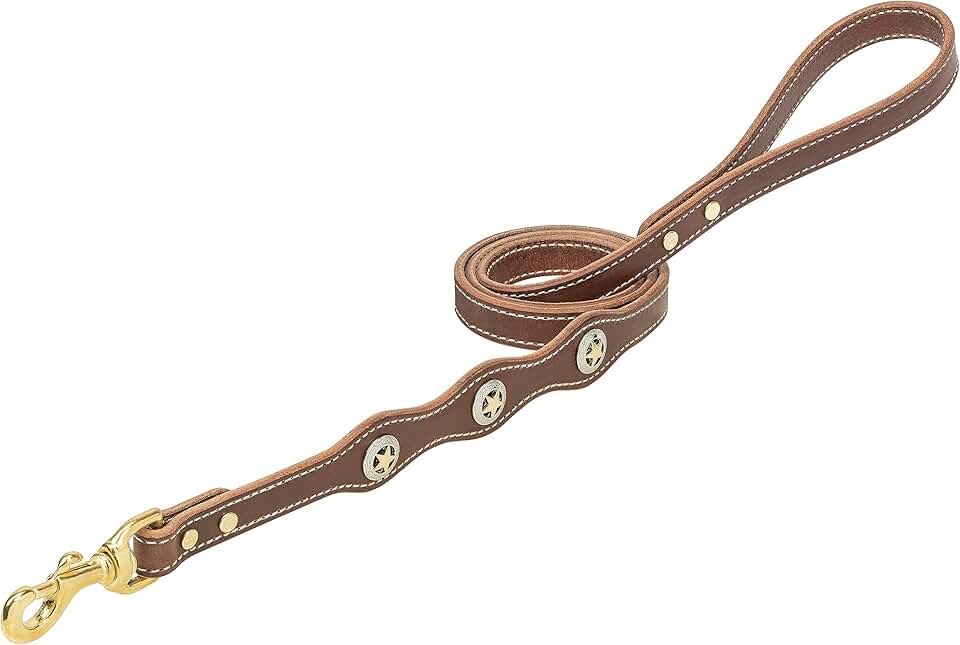 Lone Star Legend Leash Sunset 5/8" x 4'