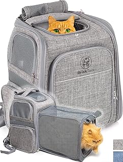 Expandable Cat Travel Backpack for Hiking and Airline Travel