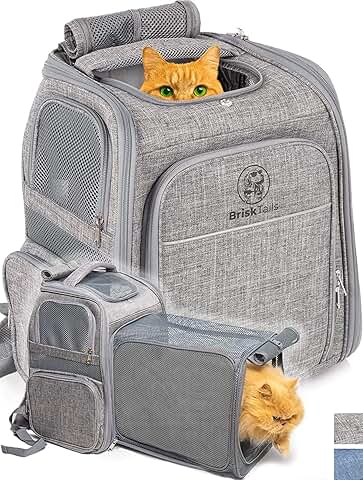 Expandable Cat Travel Backpack for Hiking and Airline Travel