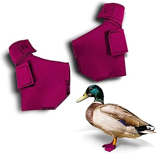 Protective Neoprene Shoes for Injured Duck Feet