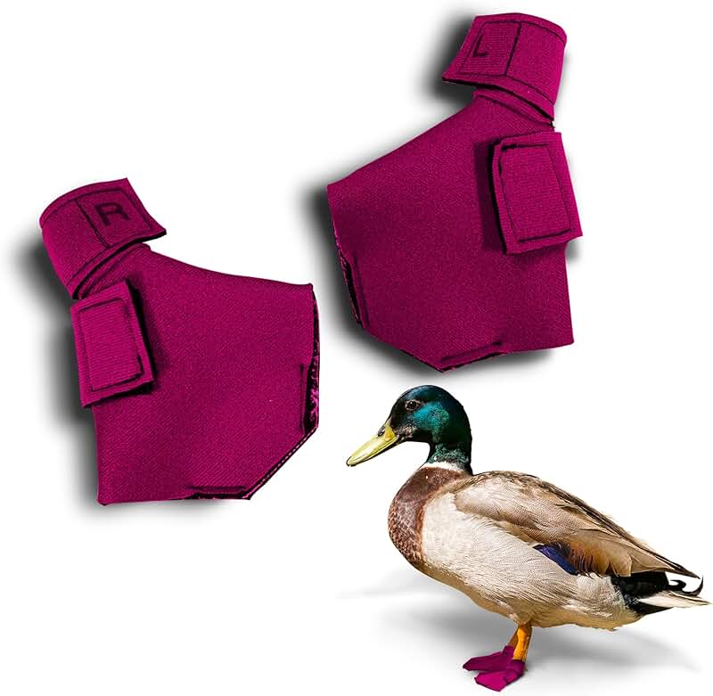 Protective Neoprene Shoes for Injured Duck Feet