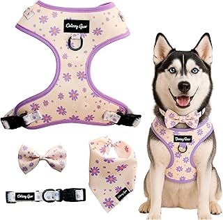 Large Dog Harness and Collar Set with Accessories
