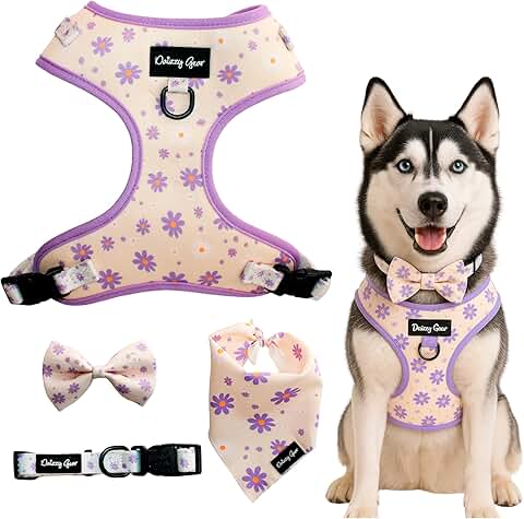 Large Dog Harness and Collar Set with Accessories