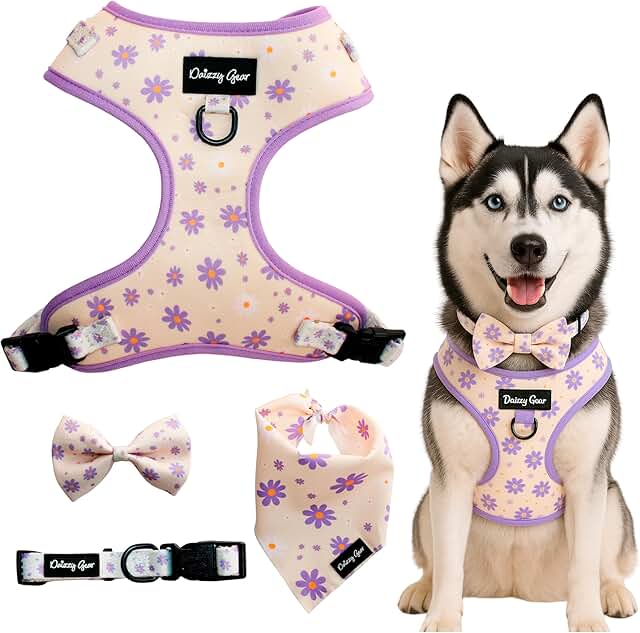 Large Dog Harness and Collar Set with Accessories