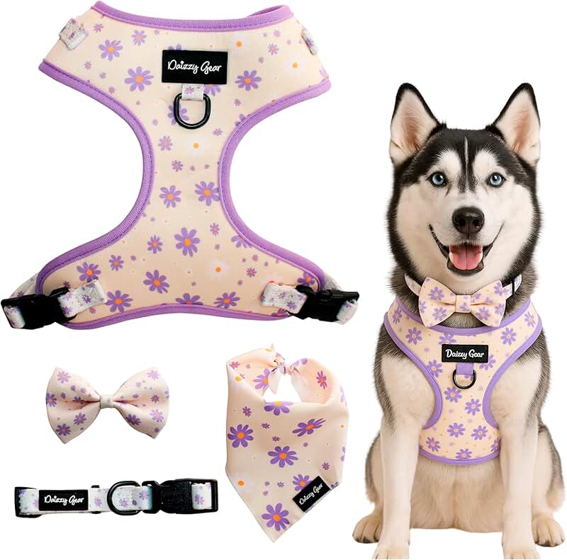 Large Dog Harness and Collar Set with Accessories