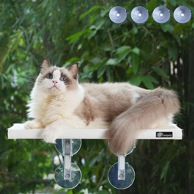 Large Cat Window Perch, Foldable, Holds 60lbs