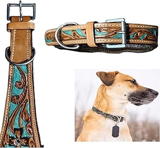 Adjustable Leather Dog Collar for Walking and Hiking
