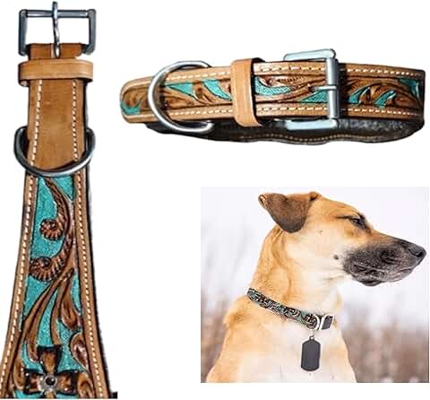 Adjustable Leather Dog Collar for Walking and Hiking