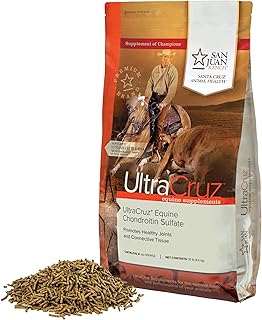 Equine Chondroitin Sulfate Supplement, 10 lb