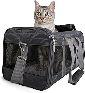 Airline Approved Pet Carrier for Cats and Dogs