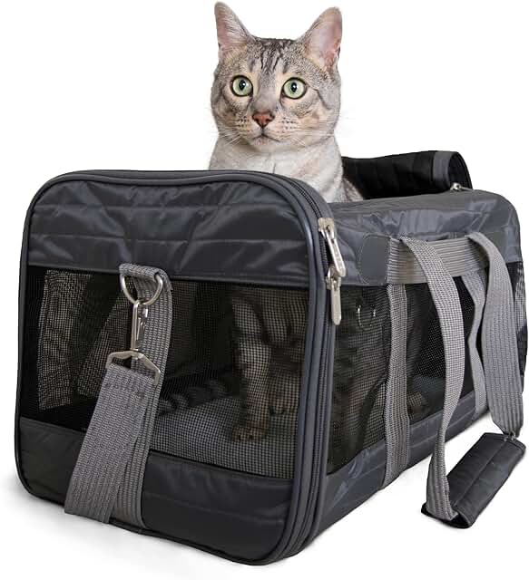 Airline Approved Pet Carrier for Cats and Dogs