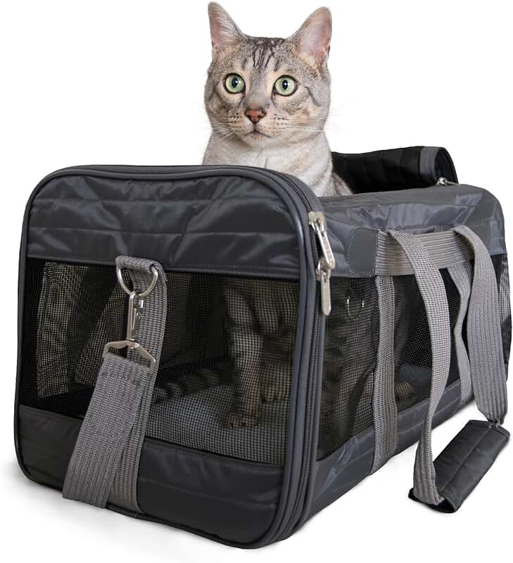 Airline Approved Pet Carrier for Cats and Dogs