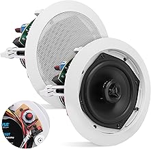 Ceiling Mount Speaker, 5.25", 300W, 2-Way, White