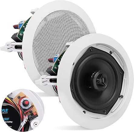 Ceiling Mount Speaker, 5.25", 300W, 2-Way, White