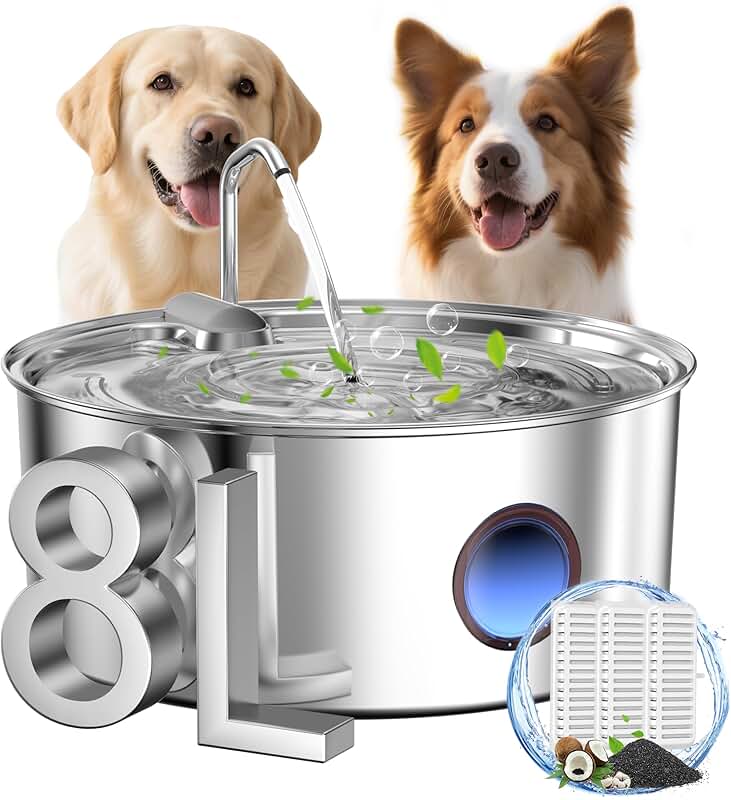 Large Dog Water Fountain with 8L Capacity
