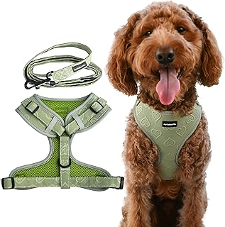 Lightweight Breathable Dog Harness with Heart Pattern