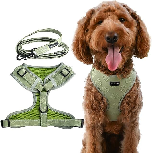Lightweight Breathable Dog Harness with Heart Pattern