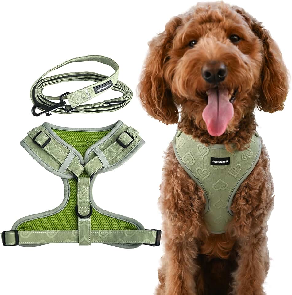 Lightweight Breathable Dog Harness with Heart Pattern