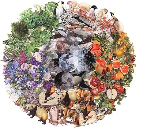 Nature-themed transparent stickers for scrapbooking, 240 pieces