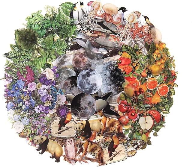 Nature-themed transparent stickers for scrapbooking, 240 pieces