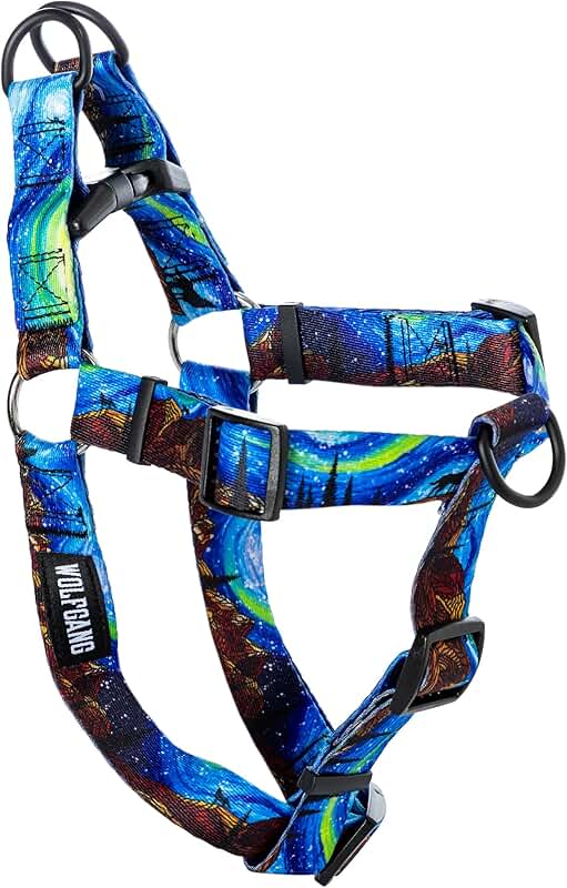 Heavy Duty Adjustable Dog Harness for Walking and Training