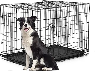 Large 42-Inch Folding Metal Dog Crate with Double Doors