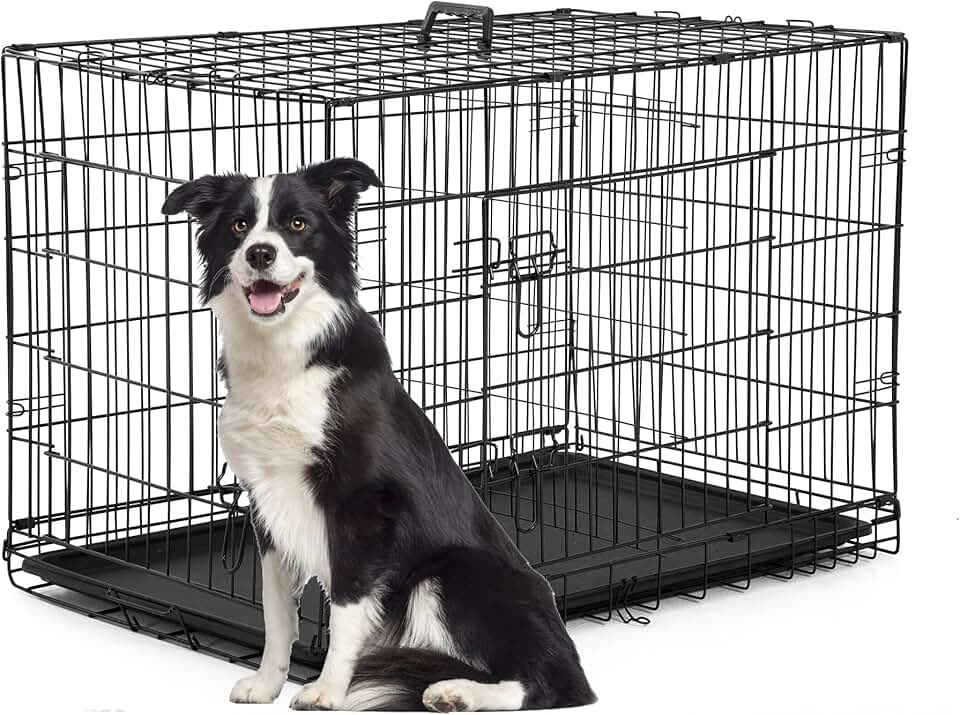 Large 42-Inch Folding Metal Dog Crate with Double Doors