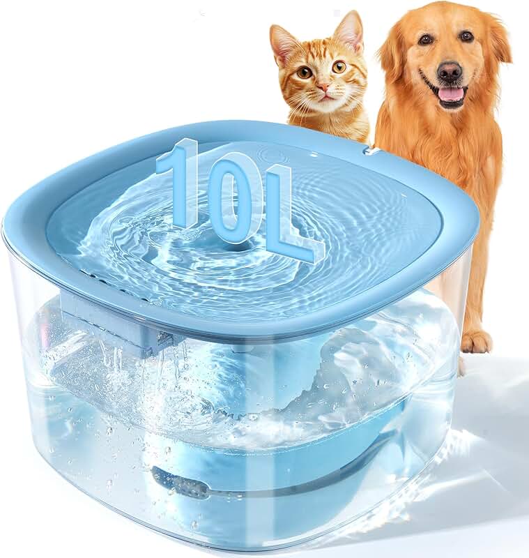 Automatic Water Fountain for Medium and Large Dogs