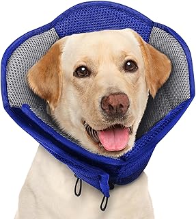 Large Soft Dog Cone for Wound Healing and Post-Surgery