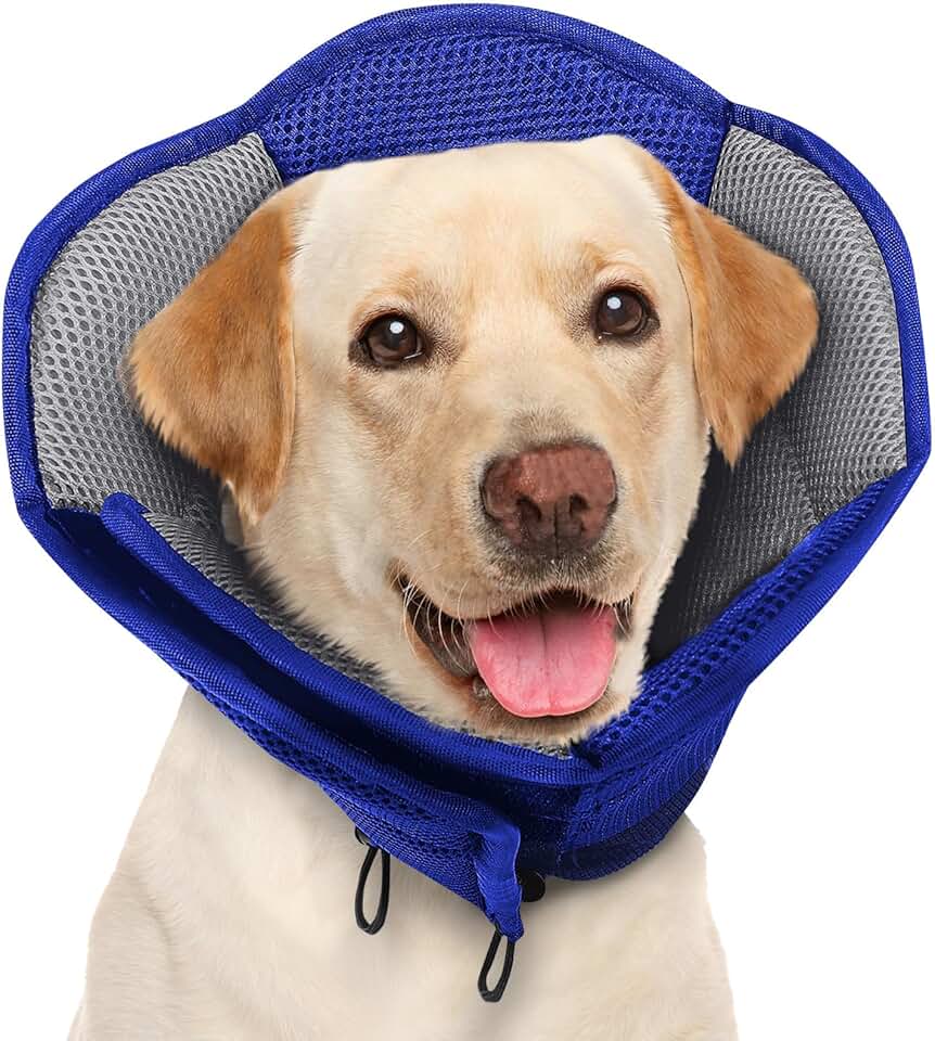 Large Soft Dog Cone for Wound Healing and Post-Surgery