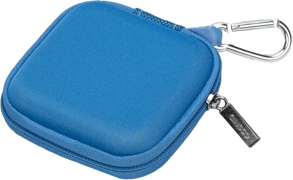 Mini Hard Shell Earbuds Case with Carabiner
