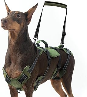 Dog Lift Harness for Large Dogs with Handles