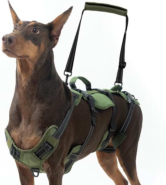 Dog Lift Harness for Large Dogs with Handles