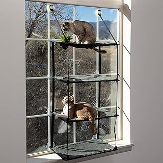 4-Level Cat Window Perch with Grass Grow Station