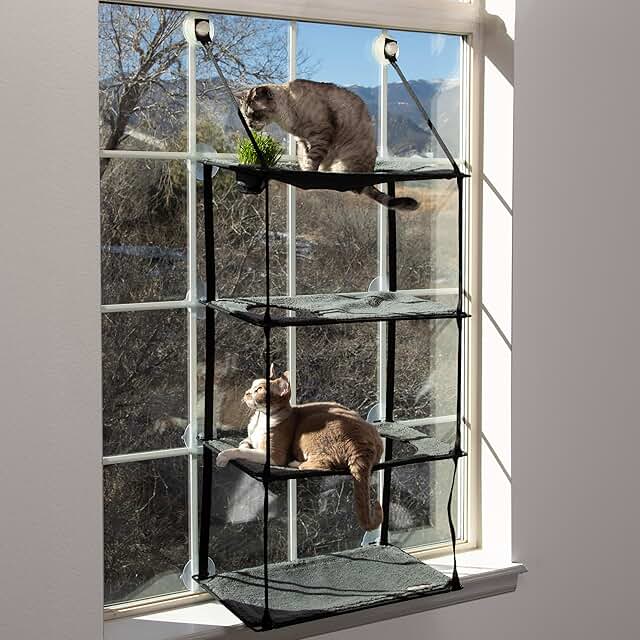 4-Level Cat Window Perch with Grass Grow Station