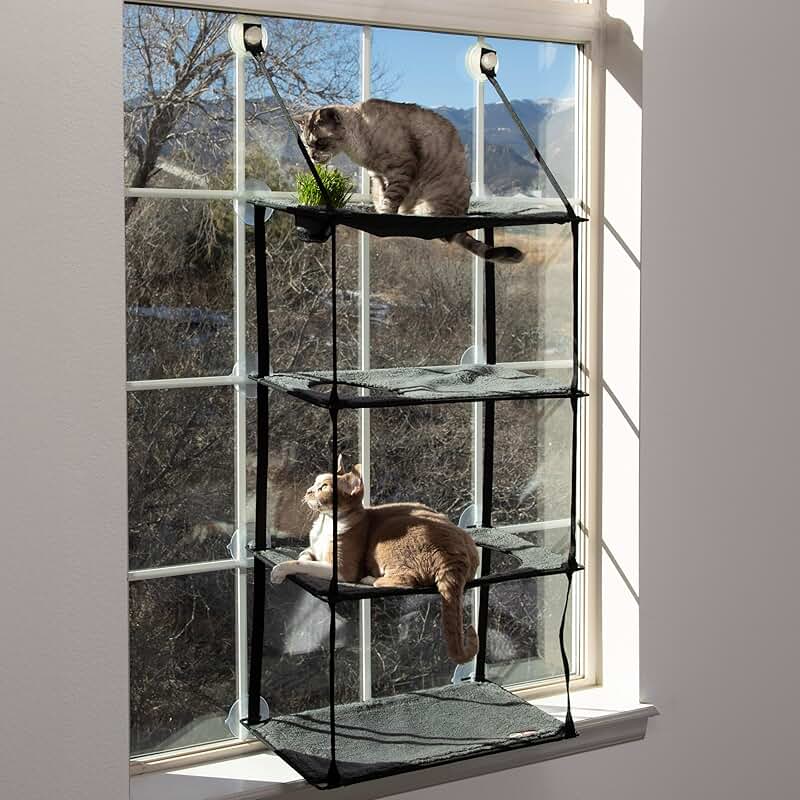 4-Level Cat Window Perch with Grass Grow Station