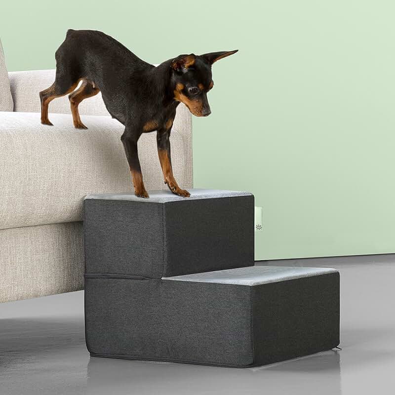 Small Grey Pet Stairs and Ramp