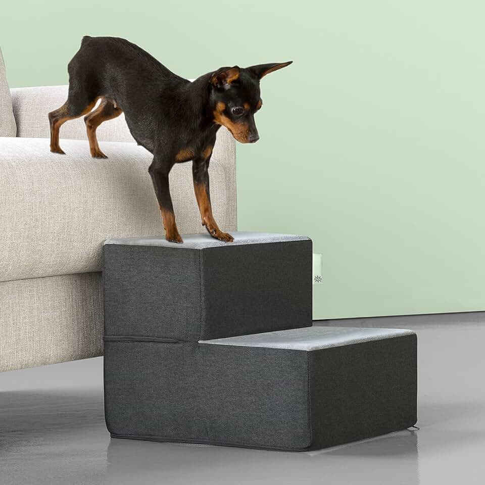 Small Grey Pet Stairs and Ramp