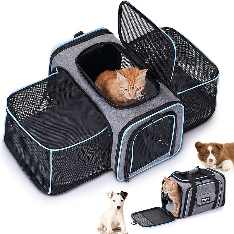 Large Expandable Soft Pet Carrier with Pad and Pocket