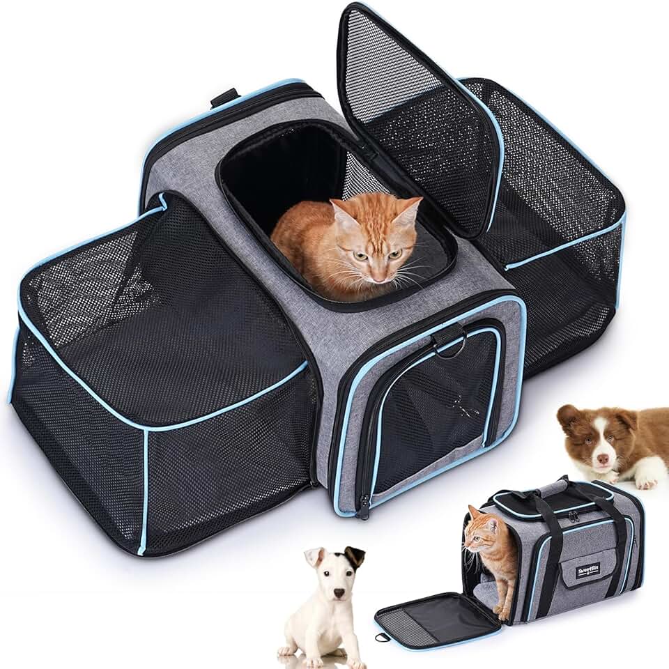 Large Expandable Soft Pet Carrier with Pad and Pocket