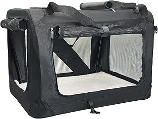 Large Cat and Dog Carrier for Travel