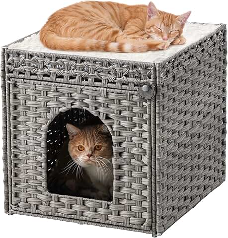 Large Indoor Cat Bed with Double Cushions