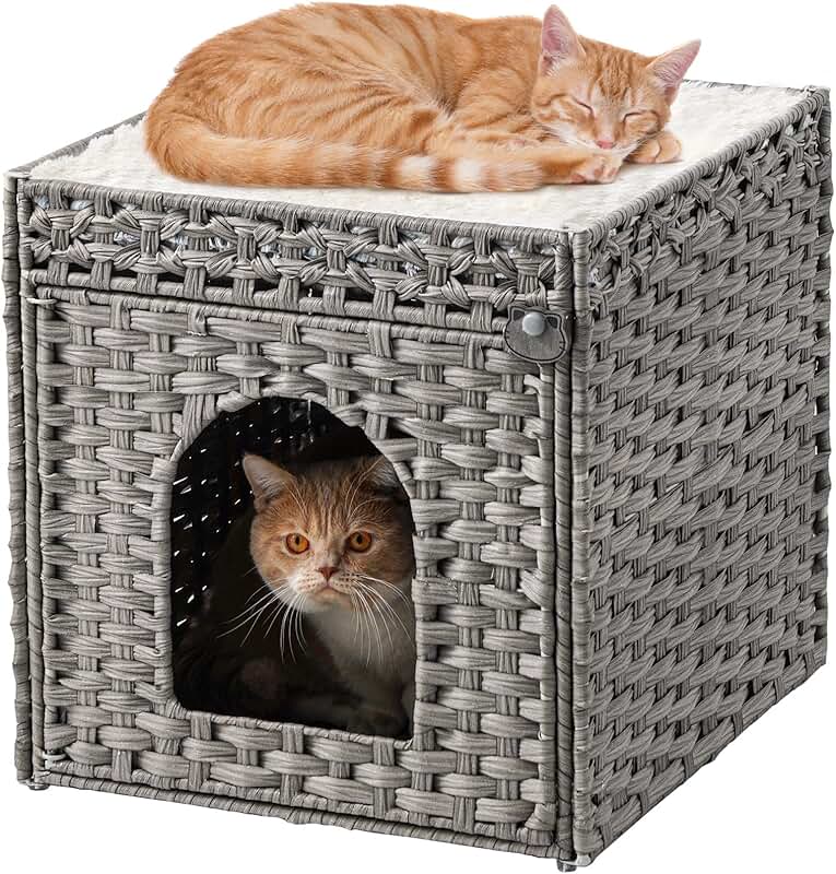 Large Indoor Cat Bed with Double Cushions