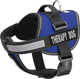 Dog Vest Harness with Removable Therapy Patches, Large