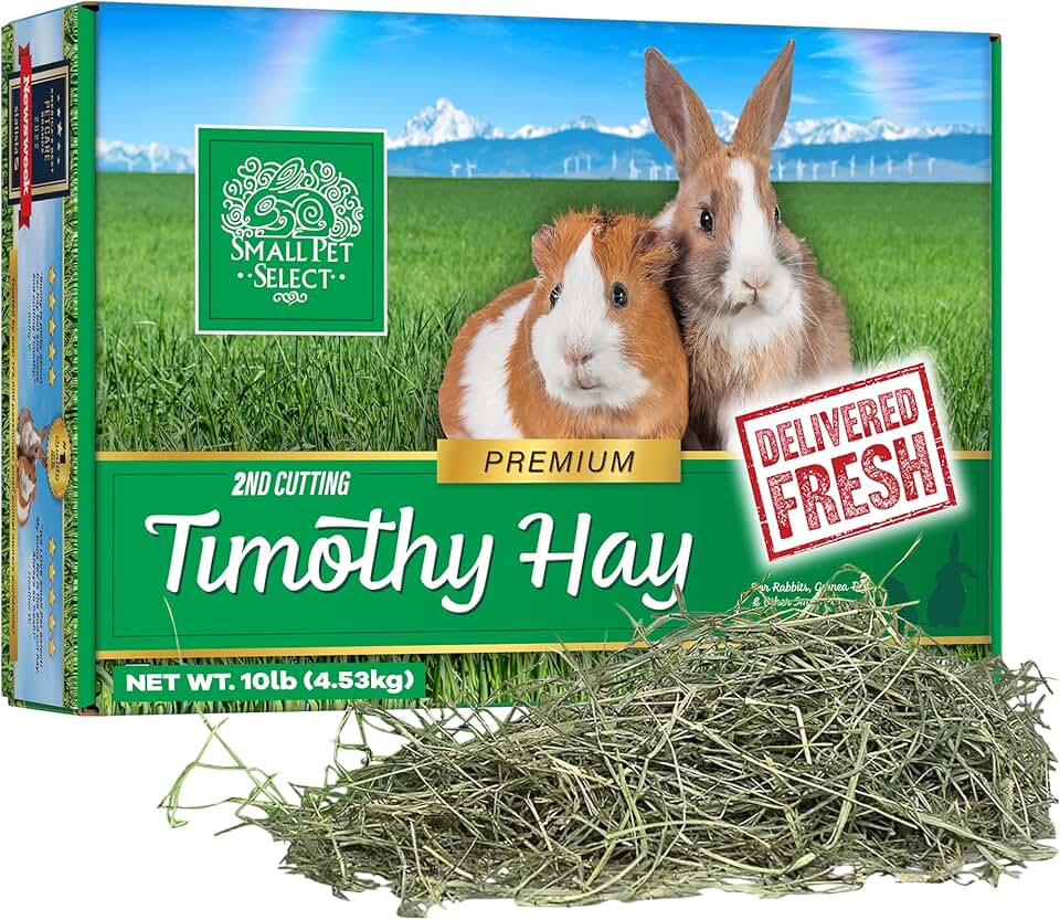 Premium Timothy Hay for Small Animals, 10 lb