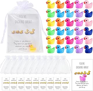 Set of 100 Mini Resin Ducks with Gift Bags and Cheer Up Cards