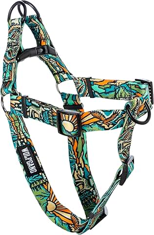 Heavy Duty Adjustable Dog Harness for Walking and Training