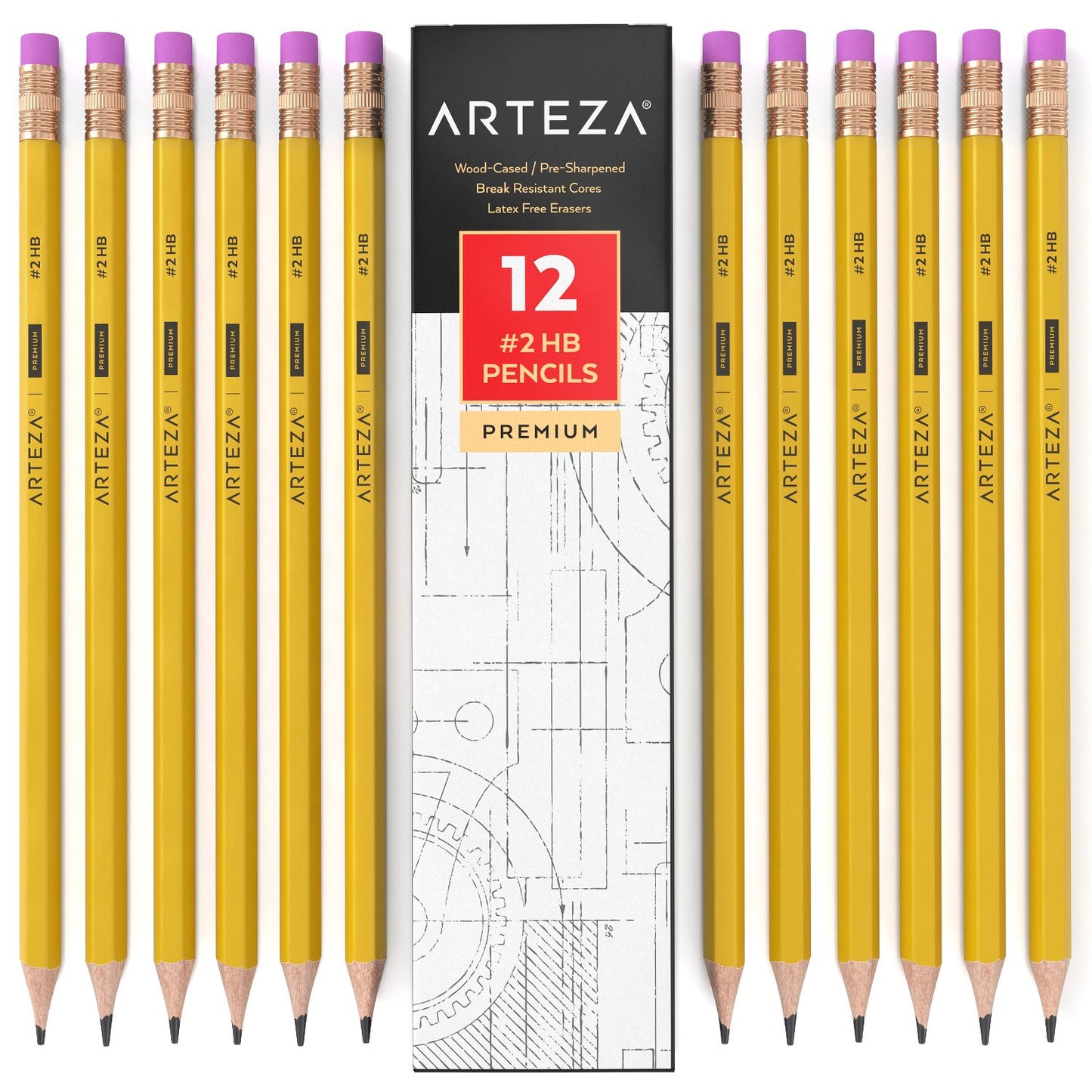 Pack of 48 HB Graphite Pencils for School and Office