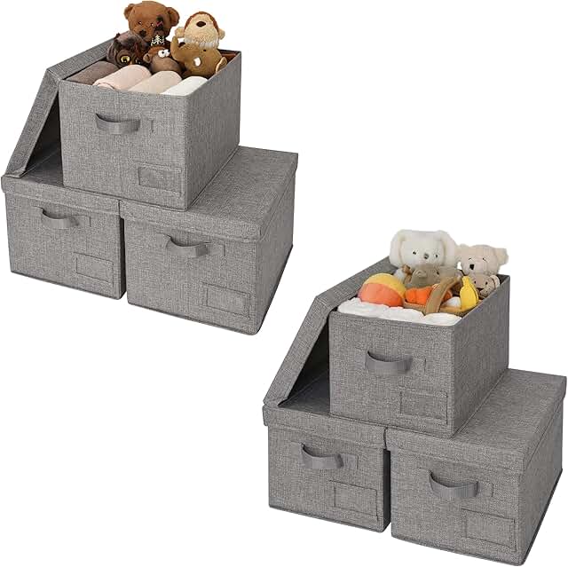 Set of 6 Lidded and Rectangle Closet Storage Bins